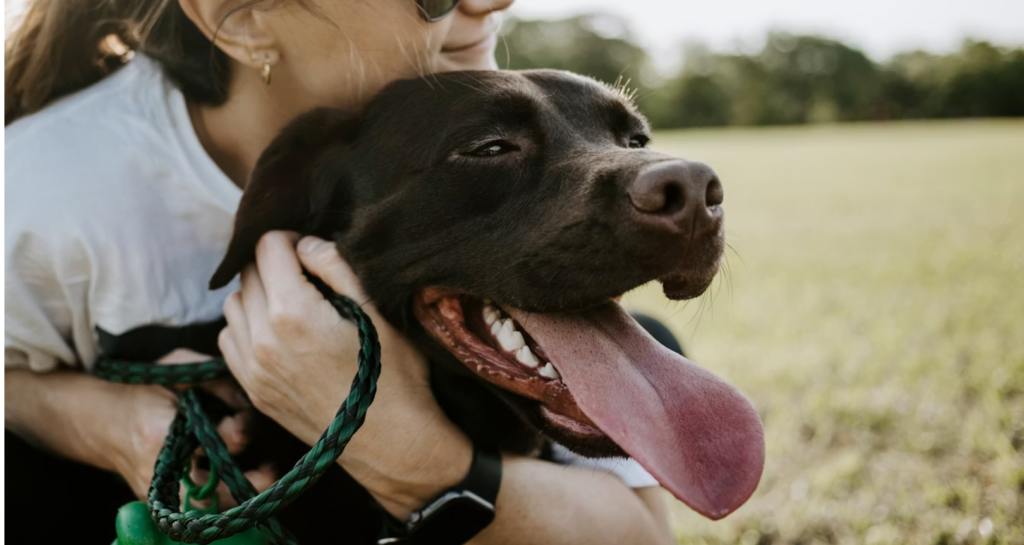 15 Practical Gifts for New Dog Moms They'll Actually Use screenshot 2026 06 18 at 10.49.46 am