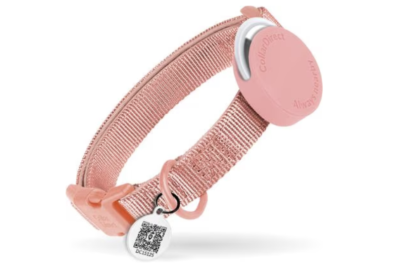 15 Practical Gifts for New Dog Moms They'll Actually Use screenshot 2026 06 18 at 11.59.28 am