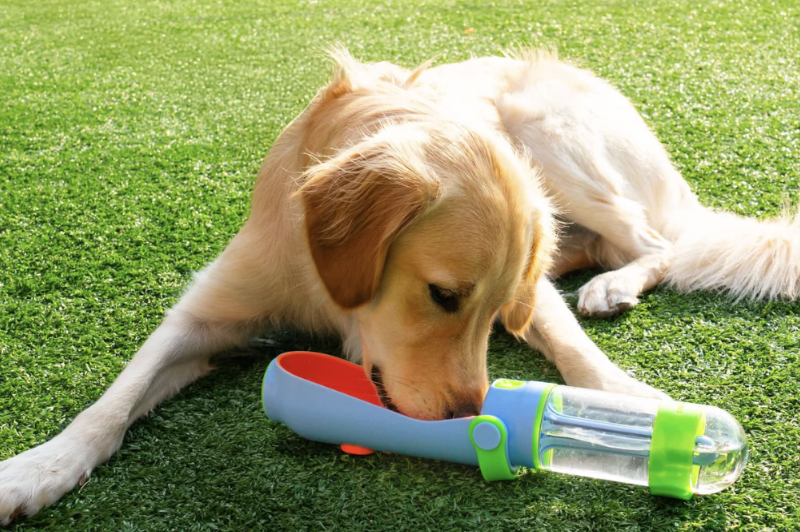 15 Practical Gifts for New Dog Moms They'll Actually Use screenshot 2026 06 18 at 12.02.06 pm