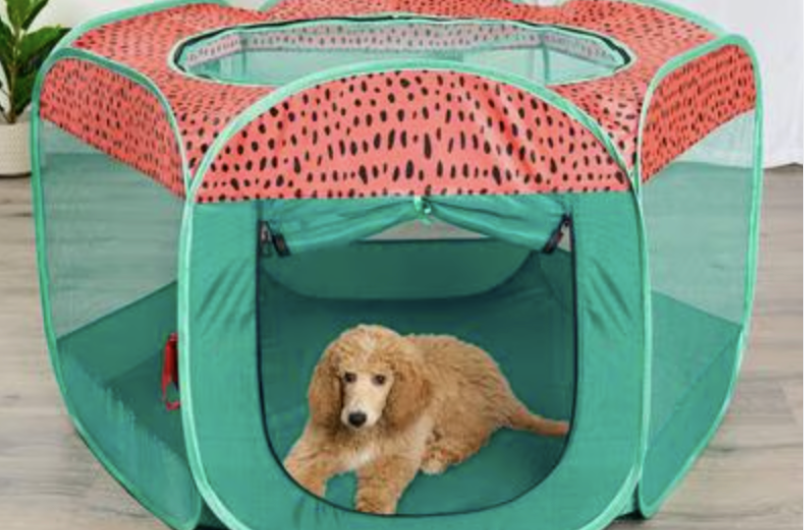 15 Practical Gifts for New Dog Moms They'll Actually Use screenshot 2026 06 18 at 12.03.50 pm