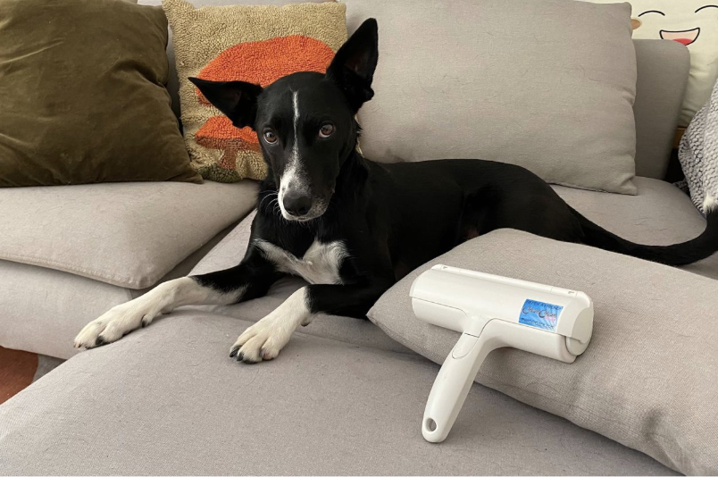 15 Practical Gifts for New Dog Moms They'll Actually Use screenshot 2026 06 18 at 12.13.56 pm