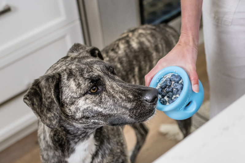 15 Practical Gifts for New Dog Moms They'll Actually Use screenshot 2026 06 18 at 12.15.09 pm